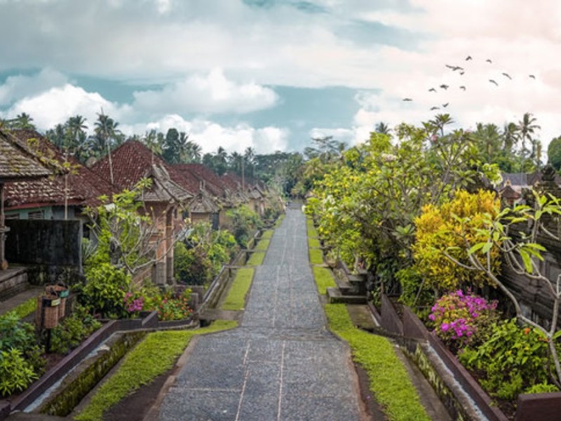 Mein Jahr auf Planet Bali